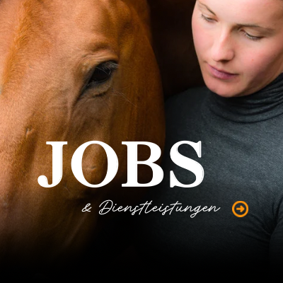 Jobs